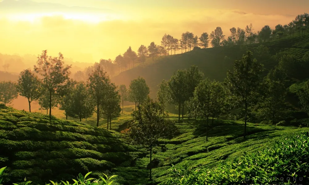 Summer in Kerala